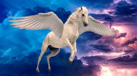 Pegasus muscles in legends: a closer look at their remarkable stats